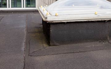 disadvantages of Beacon Lough flat roofs
