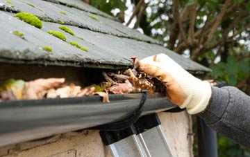 gutter cleaning Beacon Lough, Tyne And Wear