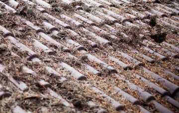 Beacon Lough roof cleaning companies